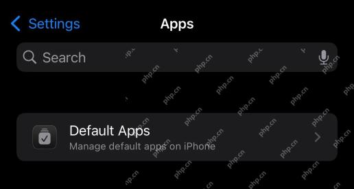 iPhone 设置中的 Default Apps 入口
