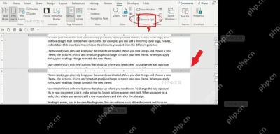 Word 视图选项卡中的拆分按钮入口，页面区域同时保留文档正文上下文