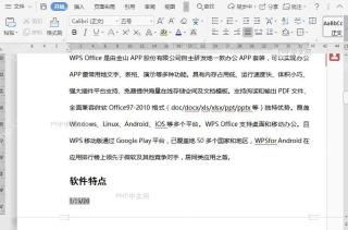 WPS如何限制文档编辑?入口位置