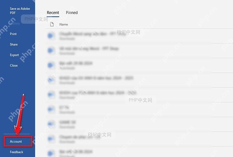 Office 后台菜单左侧的 Account 账户入口用于进入主题设置