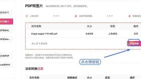 PDF转图片任务的开始处理按钮