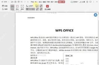 如何开启/关闭PDF测量工具中的“吸附端点”？设置效果