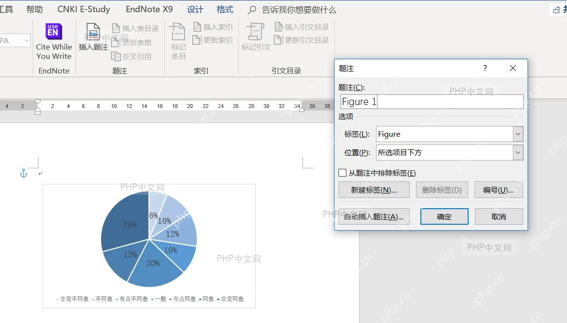 Word文档中题注显示效果