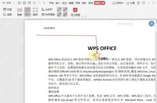 如何测量PDF文档上几个点之间的距离(测量周长)?结果检查