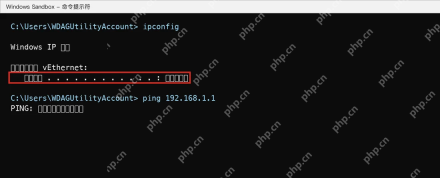 Win10 Windows Sandbox 中 ipconfig 显示无网络适配器地址