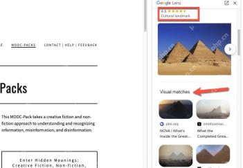 Chrome 中 Google Lens 视觉搜索界面