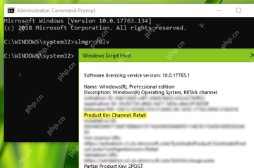 Win10 管理员命令提示符运行 slmgr /dlv 查看许可证类型