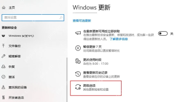 Win10 Windows 更新页面打开高级选项