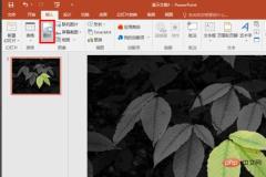 1621406806474229.jpg How to remove picture background in ppt