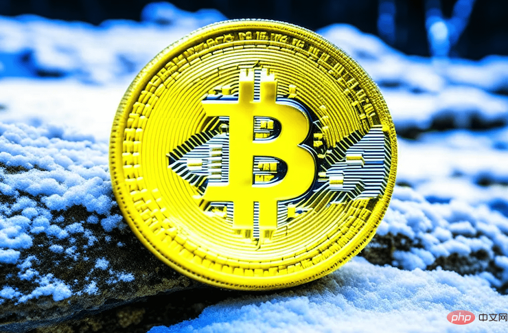 比特币富豪榜可以追踪吗？