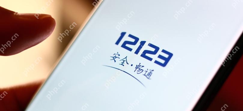 交管12123官网登录入口 交管12123登录入口怎么进 - php中文网