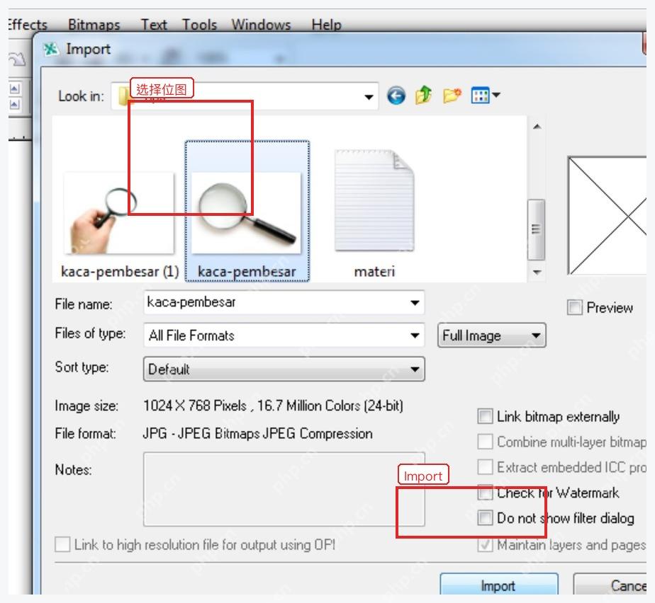 CorelDRAW Import 文件窗口中选择位图文件并点击 Import