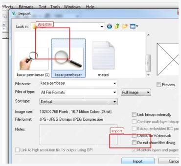 CorelDRAW Import 文件窗口中选择位图文件并点击 Import
