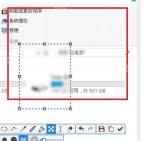 Snipaste 截图选区红框标出需要检查马赛克遮挡效果的区域
