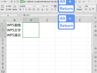 WPS表格单元格文字手动换行后完整显示的结果界面