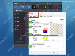 Bandicam Windows 鼠标设置页高亮鼠标标签和显示鼠标指针区域