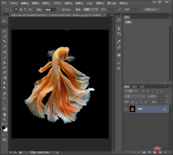 1631772678682824.png Getting Started: How to quickly blend into the background with PS (summary)