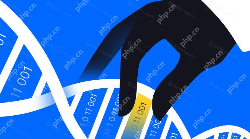 fil币哪一年上市 - php中文网