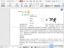 PDF如何将签名嵌入到PDF文档中?