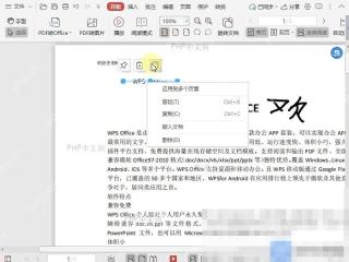 PDF如何将签名嵌入到PDF文档中?