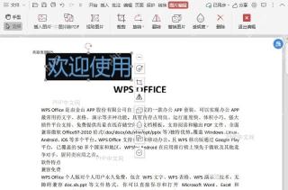 如何裁剪PDF文件中的图片？结果检查