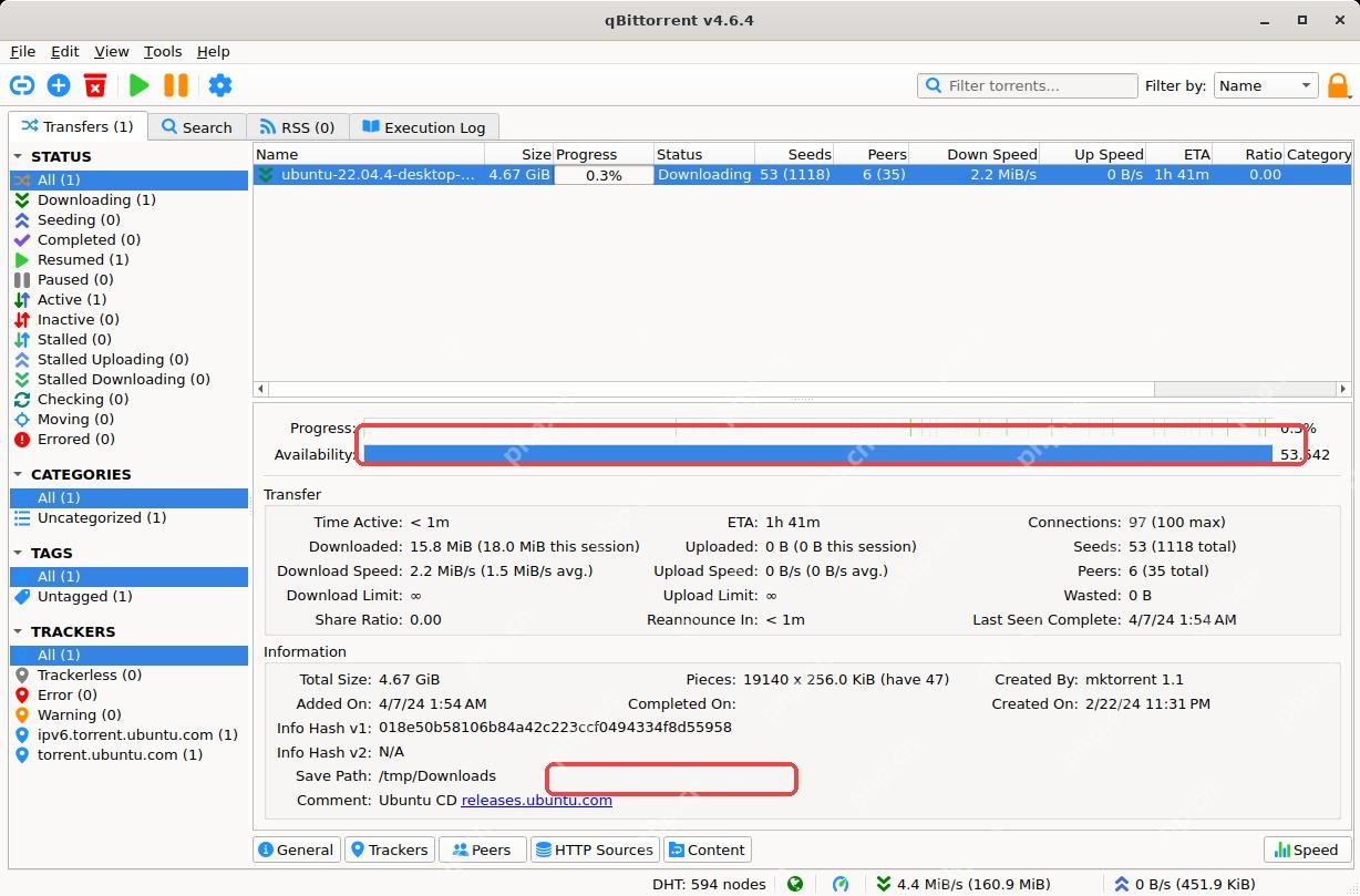 qBittorrent 任务详情中显示进度和 Save Path 保存路径