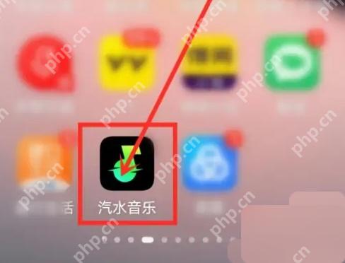 手机桌面打开汽水音乐图标