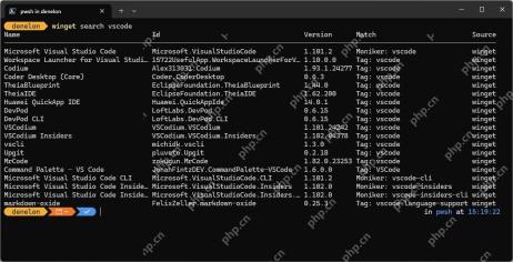 Win11 Windows Terminal 运行 winget search vscode 显示包名称和 ID