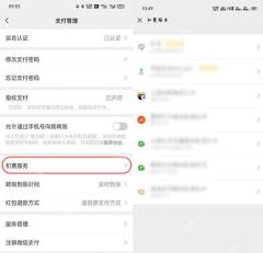 支付渠道扣款服务列表中的授权项目_哔哩哔哩怎么开通免密支付_哔哩哔哩免密支付授权设置指南 - php中文网