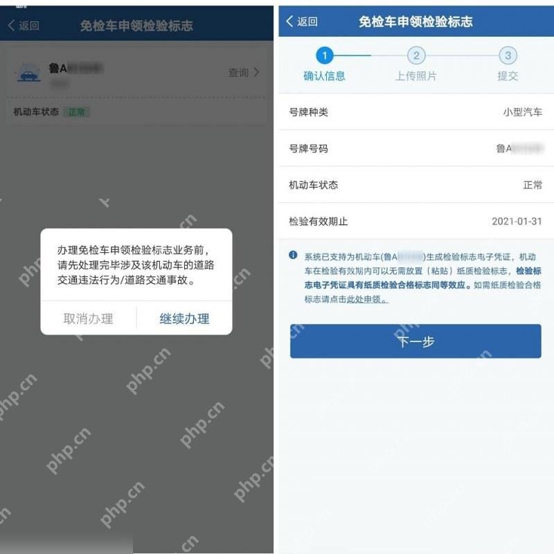 交管12123免检车申领记录