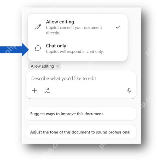 Word Copilot 面板中选择 Chat only 让 Copilot 只在聊天中回答