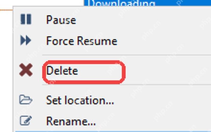 qBittorrent 任务右键菜单中的 Delete 删除任务入口