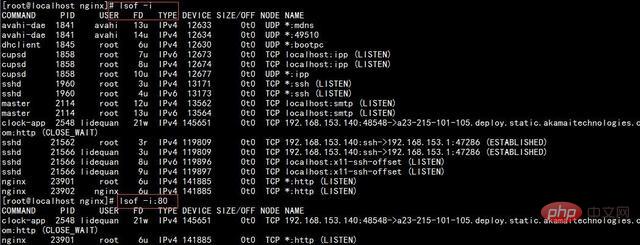 How to check if nginx port is occupied