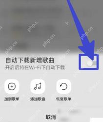QQ音乐怎么开启WiFi下自动下载步骤3操作截图