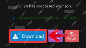 PDF24 处理完成页面显示 Download 按钮,用于保存导出的全部图片