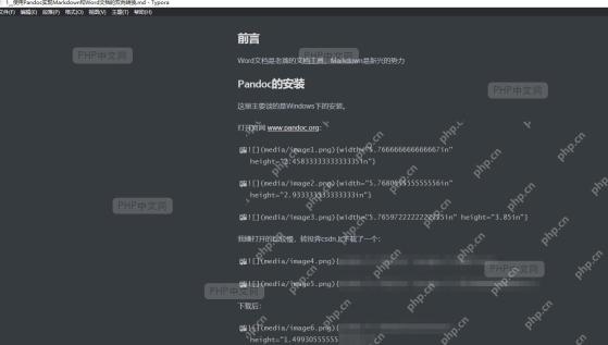 执行 Pandoc Word 转 PDF 命令