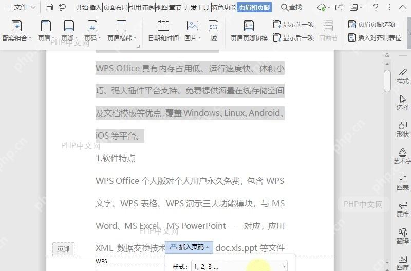 WPS如何插入文档页眉页脚,添加页码?设置效果