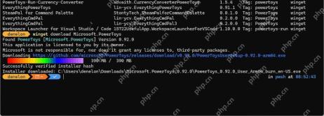 Win11 PowerShell 运行 winget download Microsoft.PowerToys 后显示下载 URL 和保存路径