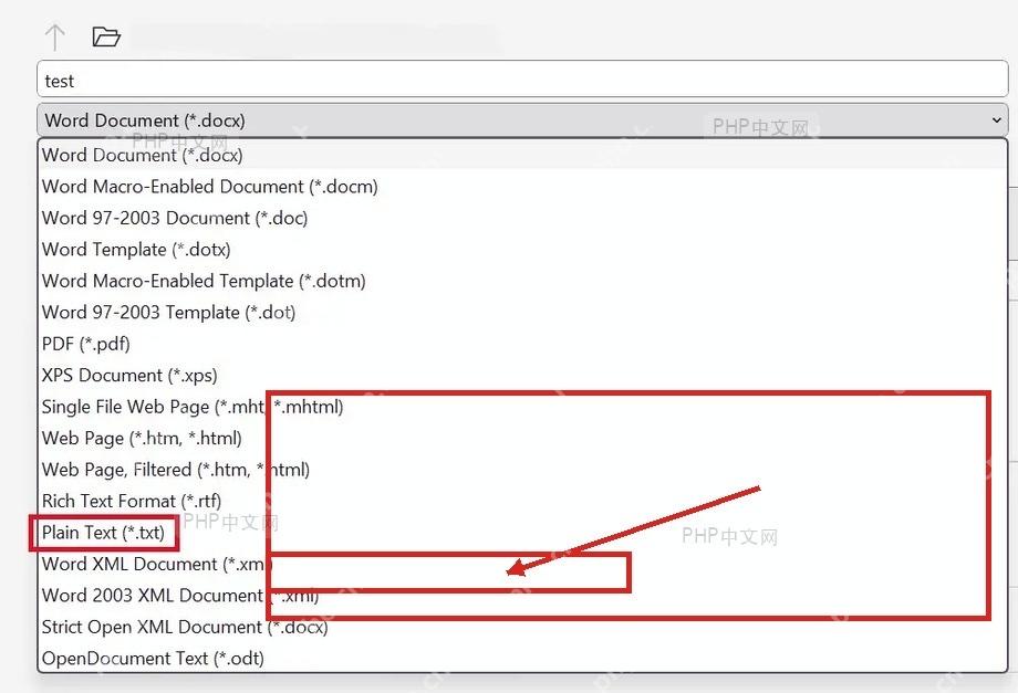 Microsoft Word 保存类型下拉框中选择 Plain Text txt 格式