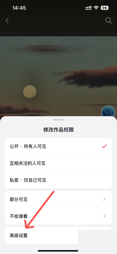抖音中文手机界面,作品权限弹窗里私密仅自己可见选项,证明选择仅自己可见这一步