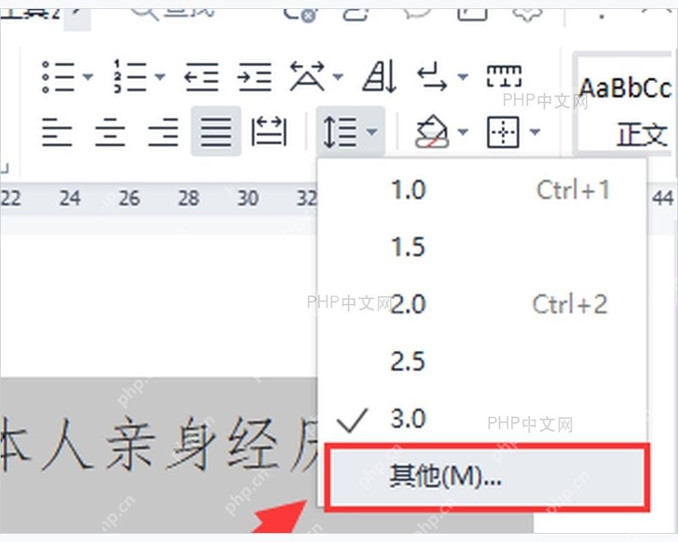 WPS文字行距菜单中的其他选项