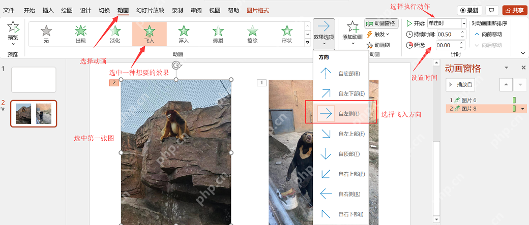 给PPT图片添加出现或淡入动画