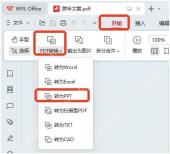 WPS PDF转换菜单中选择转为PPT功能