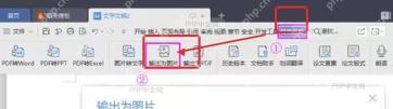 WPS文字特色应用功能区,输出为图片按钮被标出