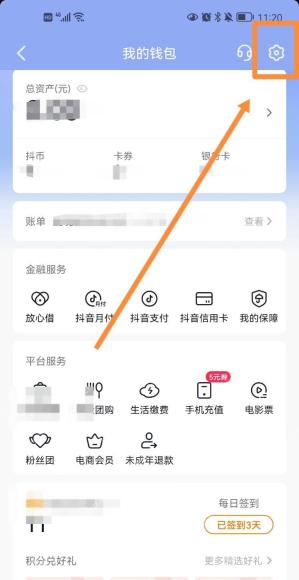抖音我的钱包页面右上角的设置按钮，证明进入支付设置的步骤