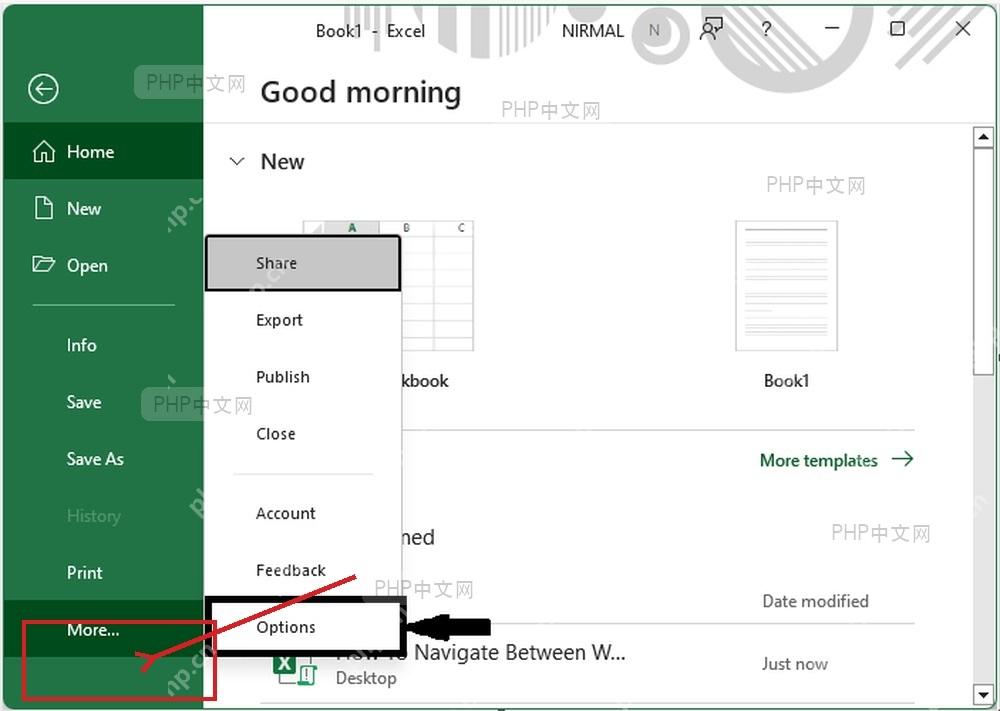 Excel 文件页面中打开选项入口