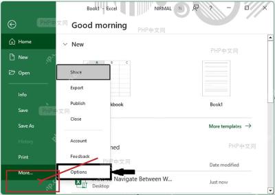 Excel 文件页面中打开选项入口