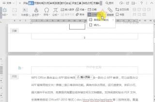WPS如何在文档页码中插入自动图文集？设置效果