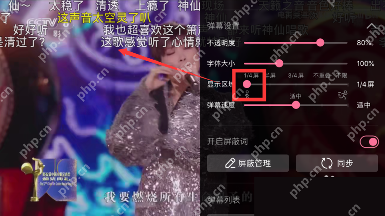 调整弹幕显示区域百分比