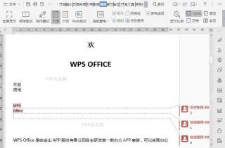 在文档阅读版式中如何突出显示?入口位置